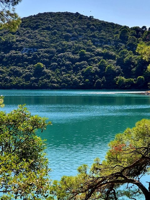 Mljet National Park景点图片