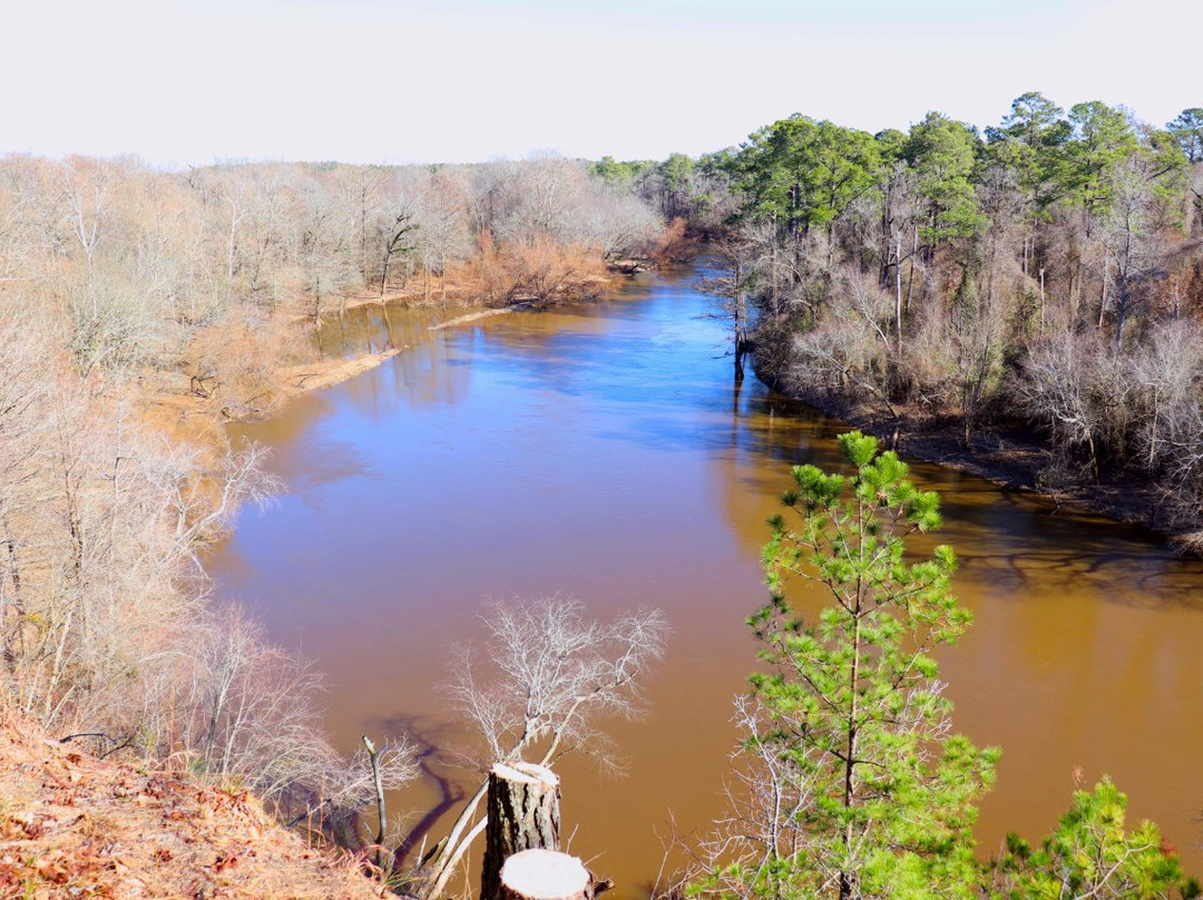 Cliffs of the Neuse State Park景点图片