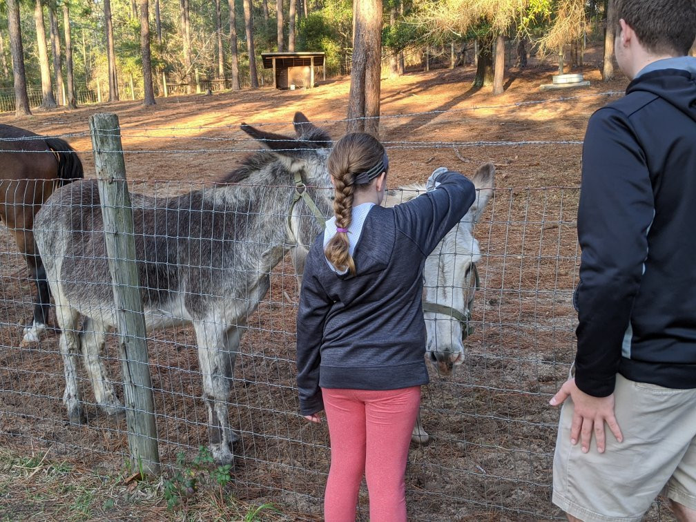 General Coffee State Park-Nicholls必去景点