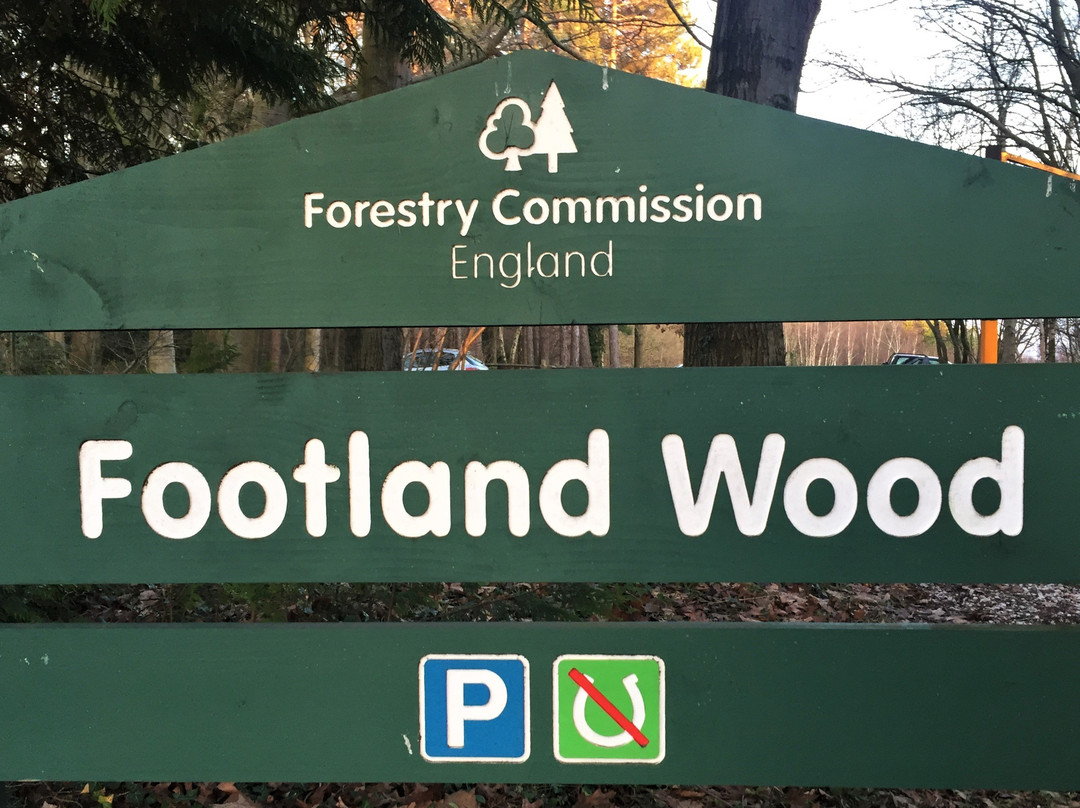 Footland Wood景点图片