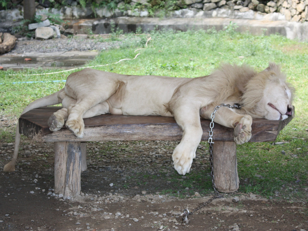 Baluarte Zoo-维甘必去景点
