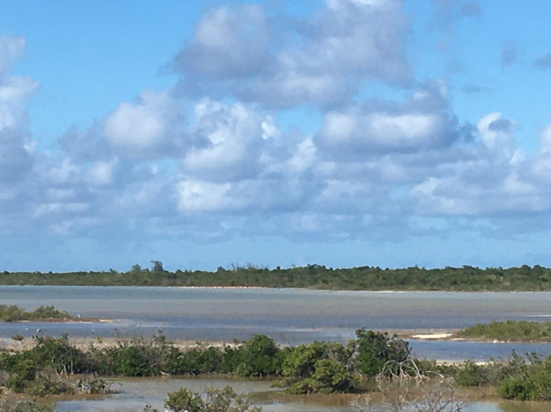 Flamingo Pond-Anegada必去景点