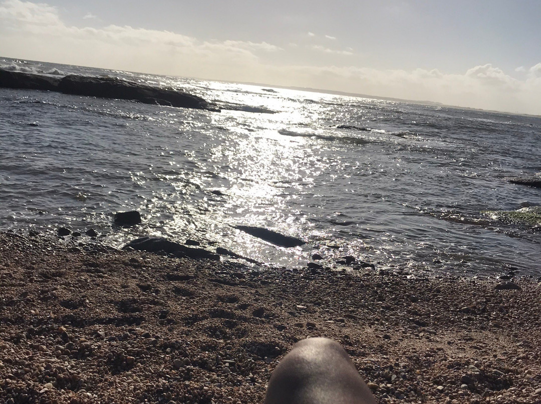 Playa Mansa-Jose Ignacio必去景点