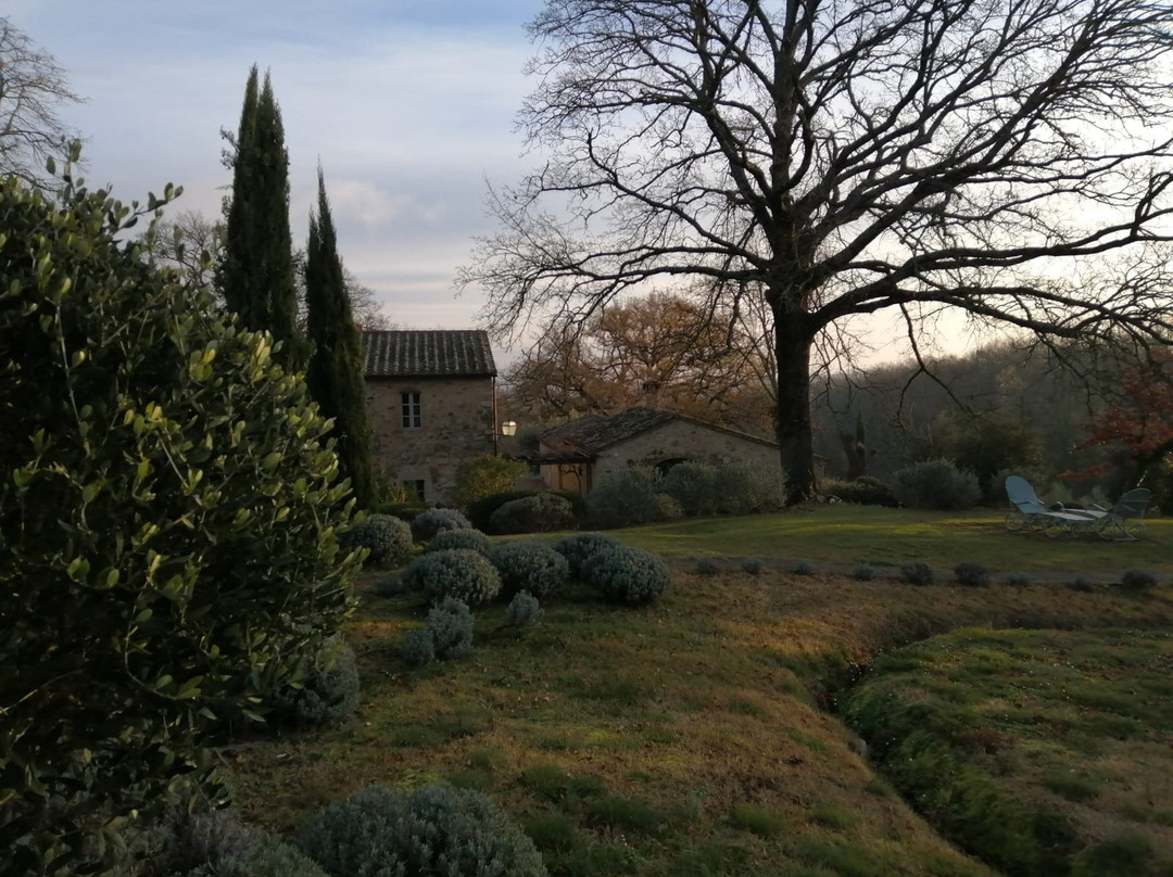 Casa Fabbrini Val D'Orcia主图