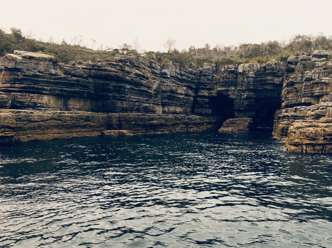 Jervis Bay Eco Adventures-Day Boat Tours景点图片