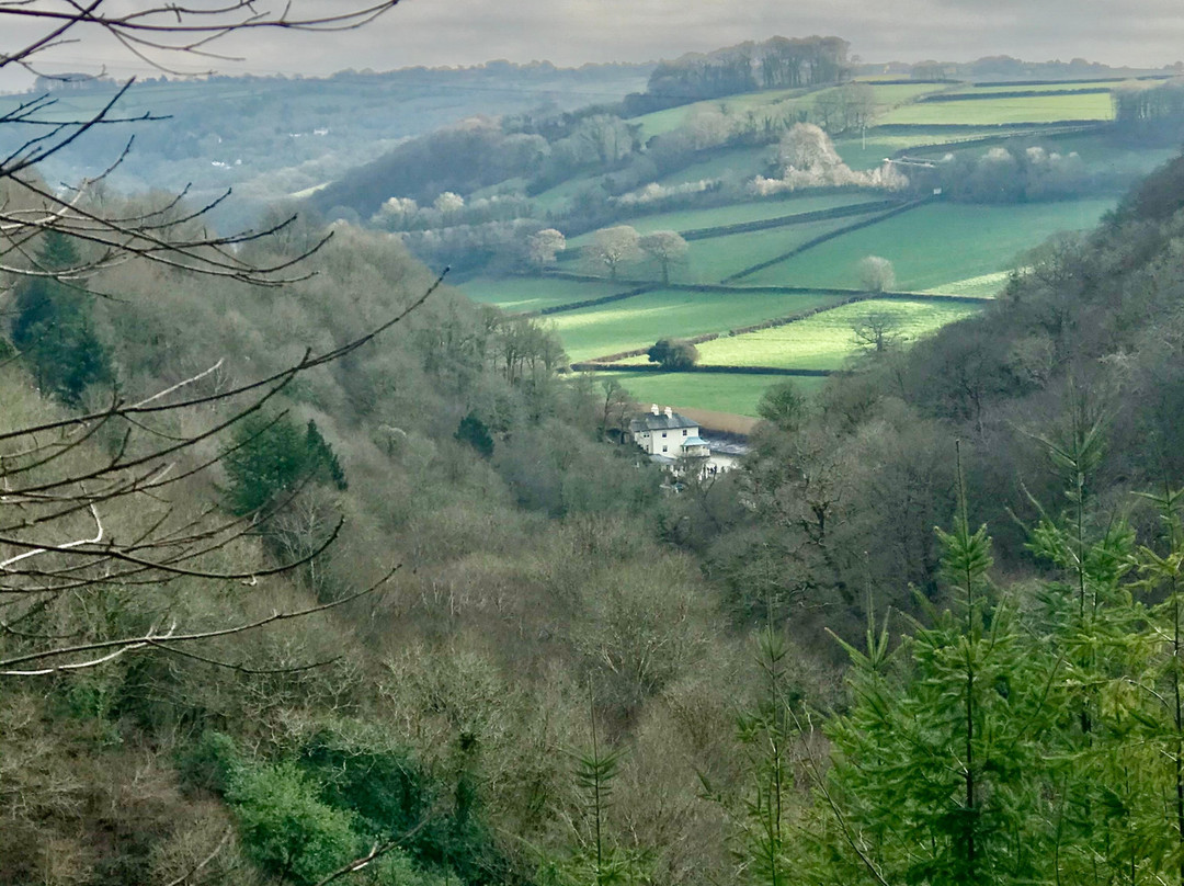 Cotehele to Calstock景点图片