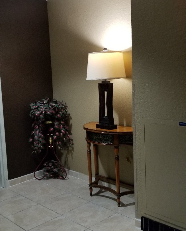 Microtel Inn & Suites By Wyndham Jacksonville Airport主图