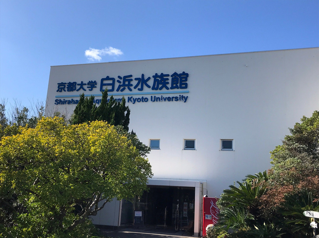 Shirahama Aquarium Kyoto University-白滨町必去景点