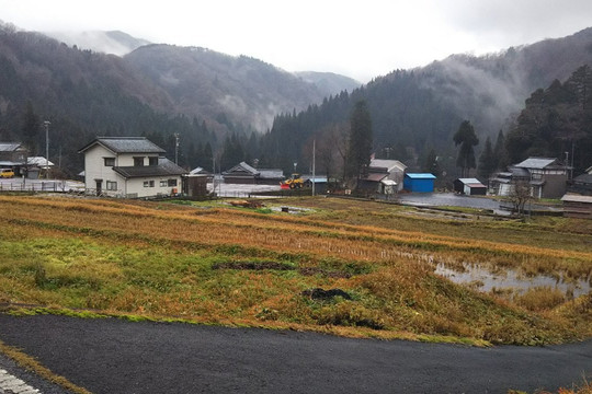 Tree Picnic Adventure Ikeda-池田町必去景点