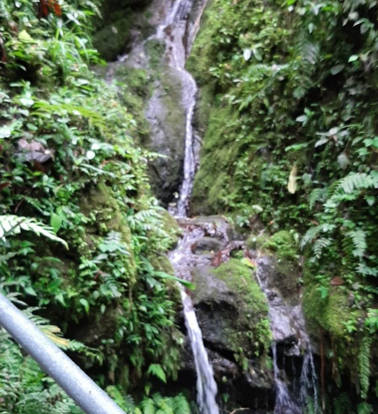 Tarabita y Santuario de Cascadas Mindo景点图片