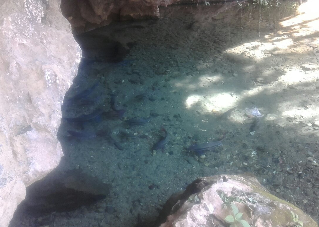 Tham Kang Cave-Muang Ngoi Neua必去景点
