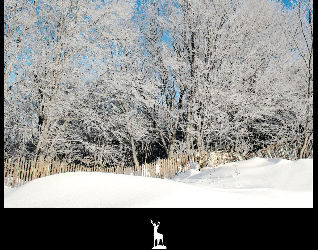 Palivor Ciftligi主图