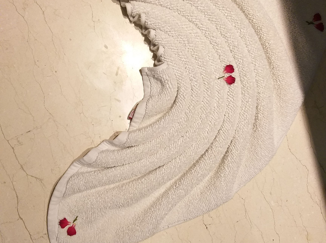 班加罗尔保罗酒店主图