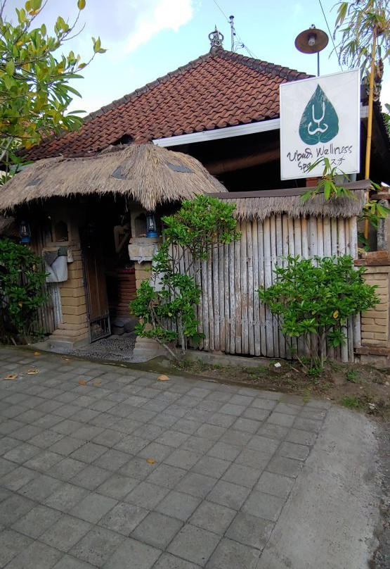 Ubud Wellness Spa景点图片