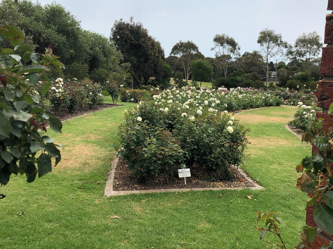 Mornington Botanical Rose Gardens景点图片