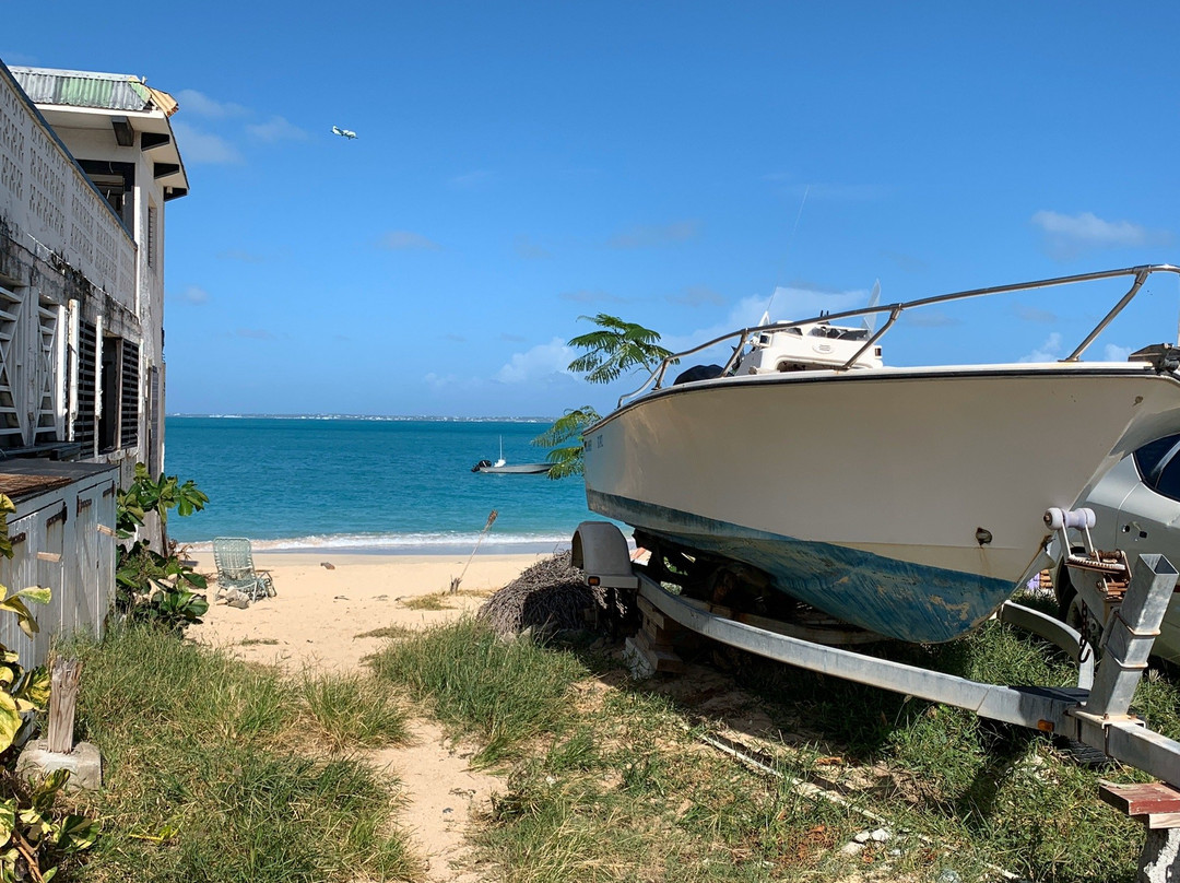 橡胶树酒店主图