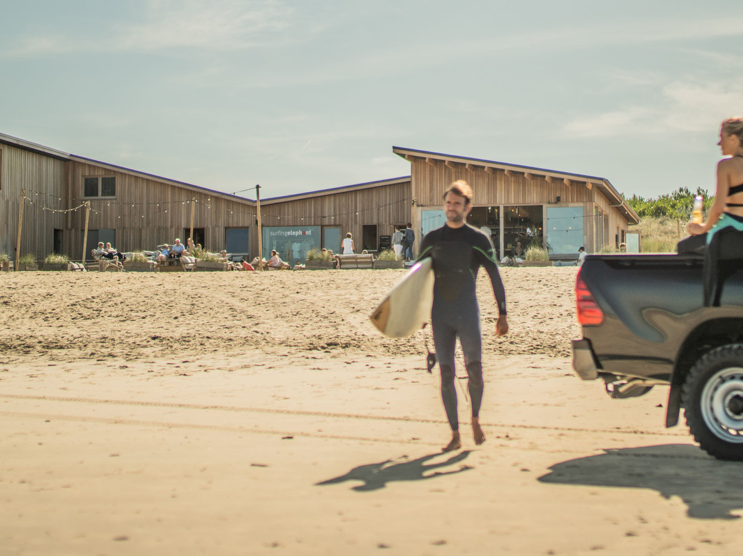 Surfing Elephant-Wenduine必去景点