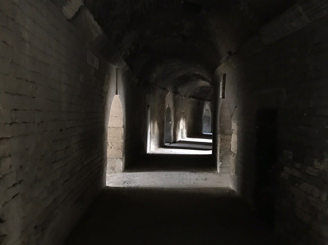 Office du Tourisme Arles Camargue-阿尔勒必去景点