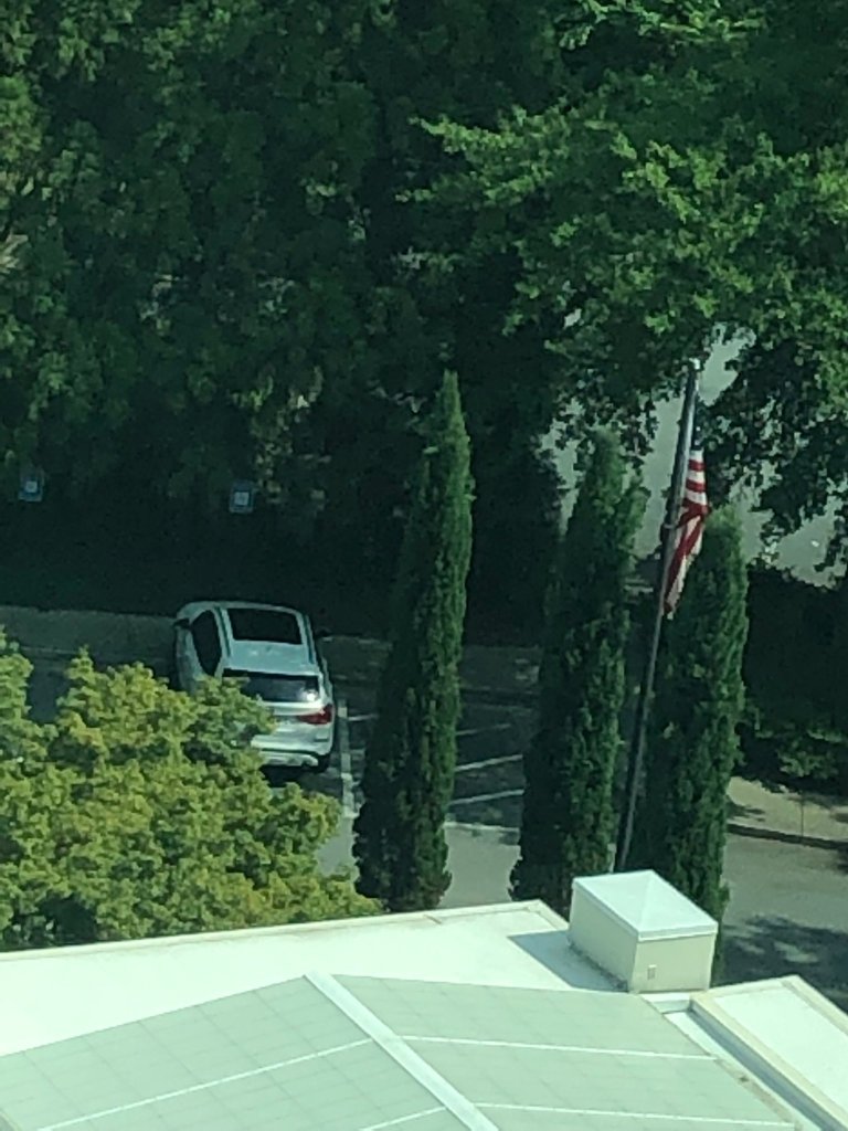 Le Méridien Atlanta Perimeter-浴室