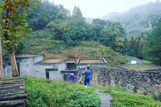 panda volunteering  and photo taking-都江堰市必去景点