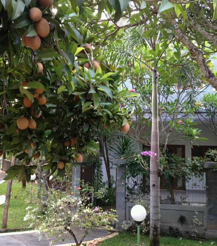 The Gecho Inn Country主图