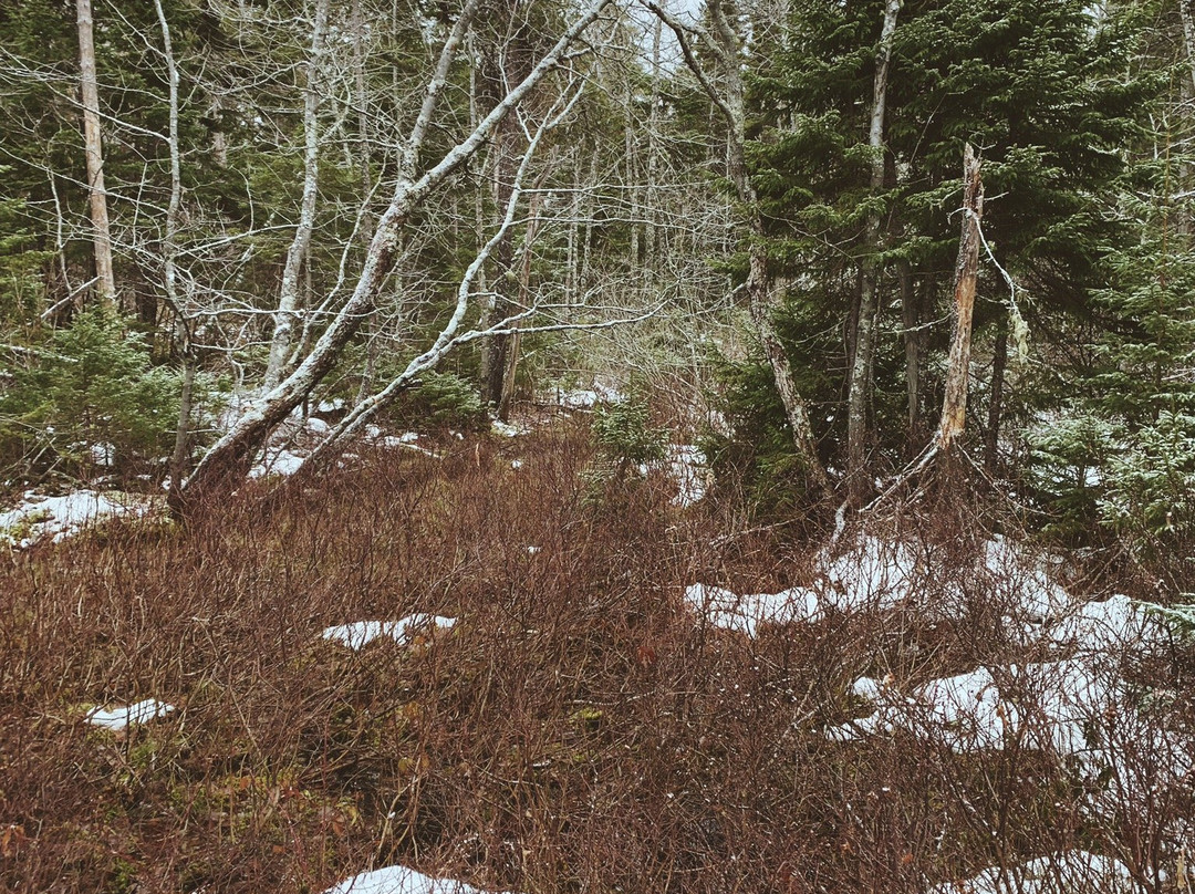 Kouchibouguac National Park-Saint-Louis-de-Kent必去景点