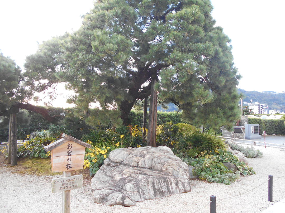 Omiyanomatsu / Statue of Kanichi and Omiya景点图片
