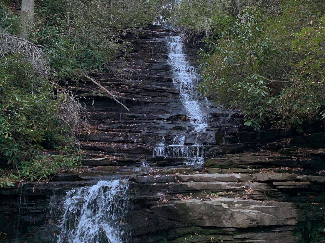 Angel Falls Trail景点图片