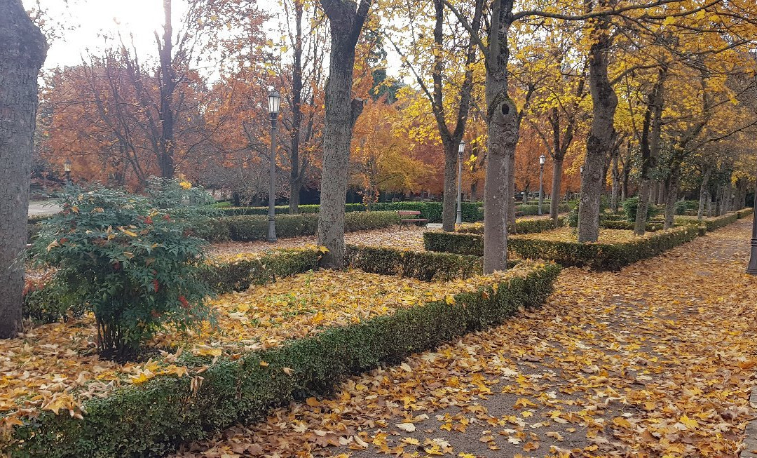 Parroquia San Lorenzo-潘普洛纳必去景点