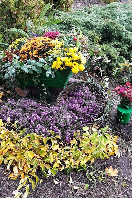 Botanical Garden of Dnipro National University-第聂伯罗必去景点