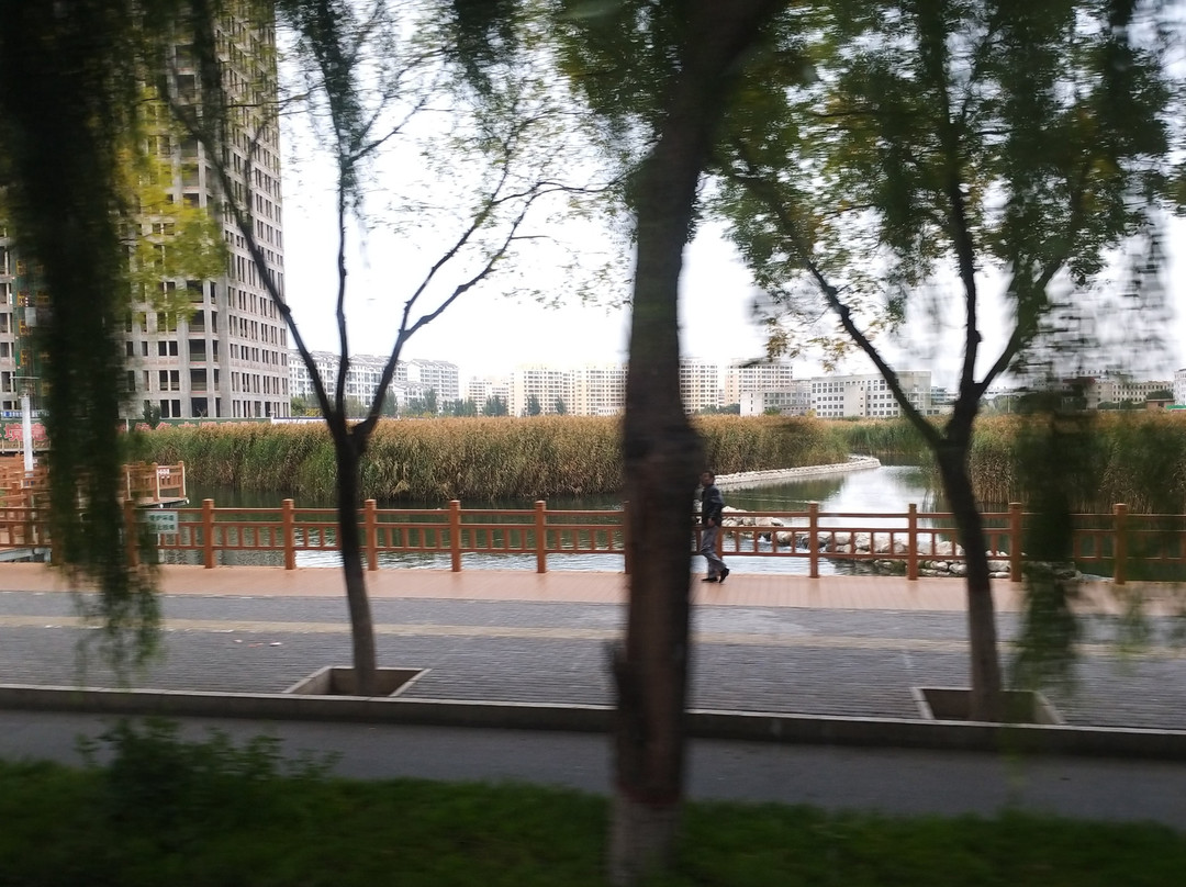 国家湿地公园景点图片