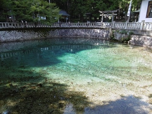 別府弁天池湧水景点图片