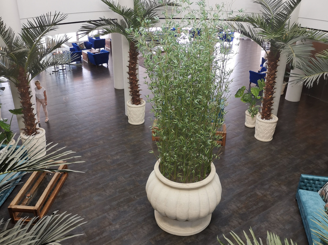 Wyndham Grand Algarve主图