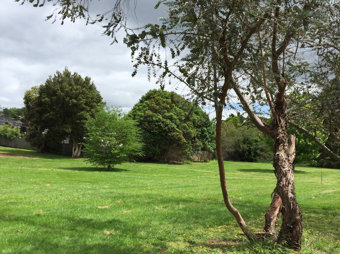 Boronia Street Park-沃拉格尔必去景点