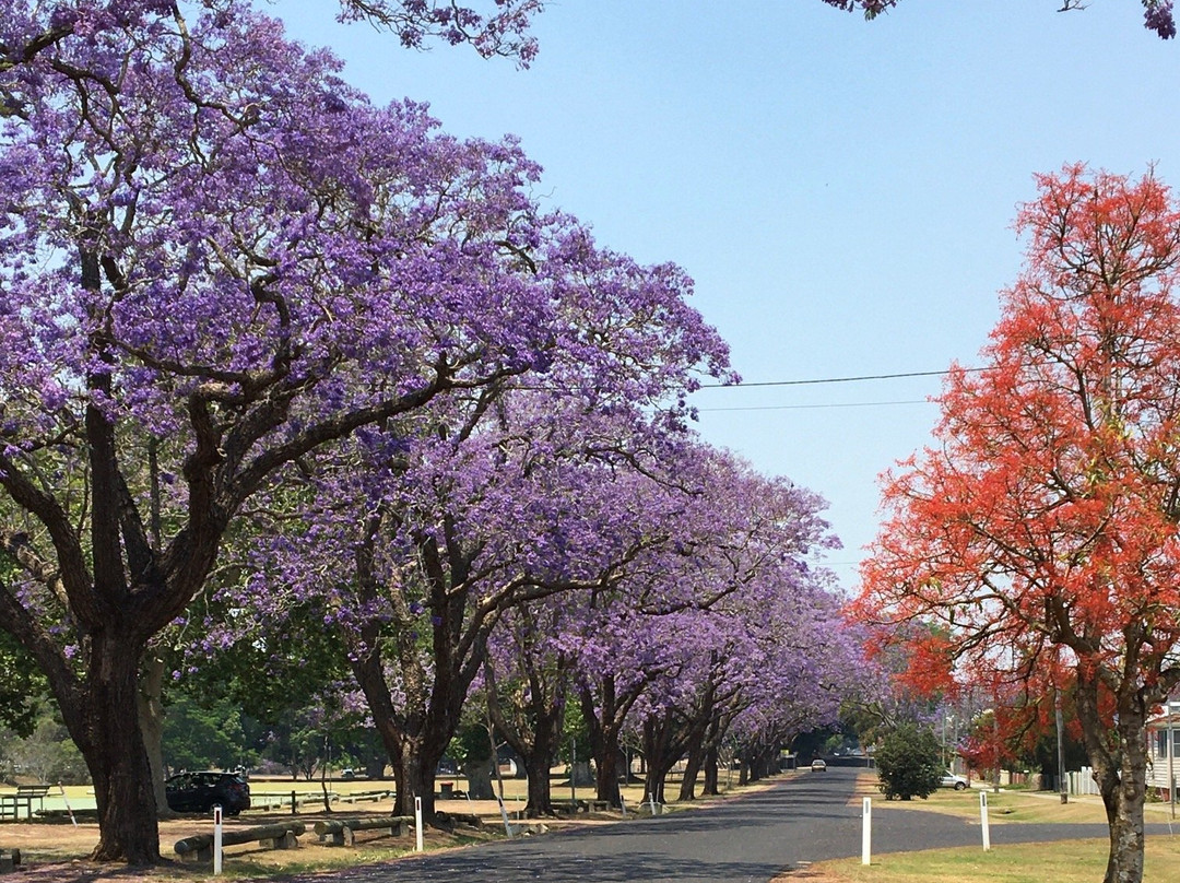 See Park景点图片