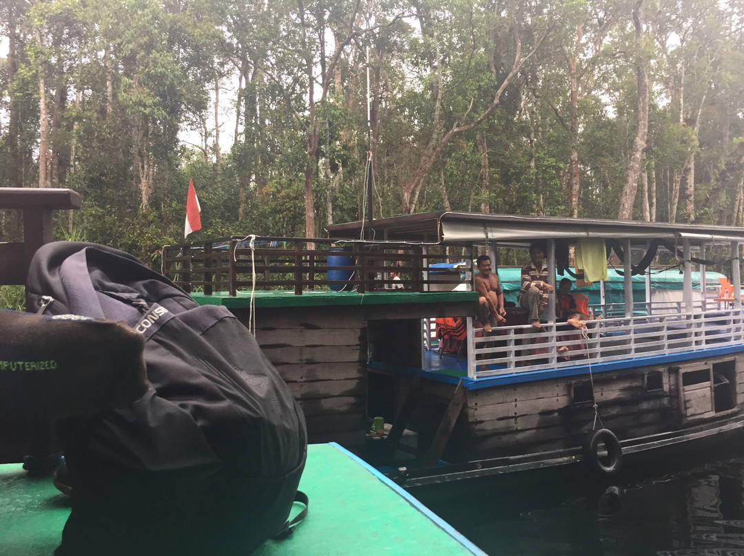 Tanjung Puting Borneo Tour景点图片