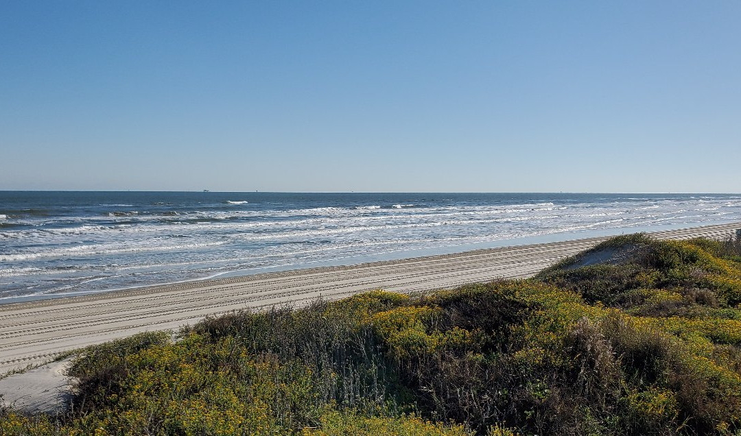 Beach Loop-科珀斯克里斯蒂市必去景点