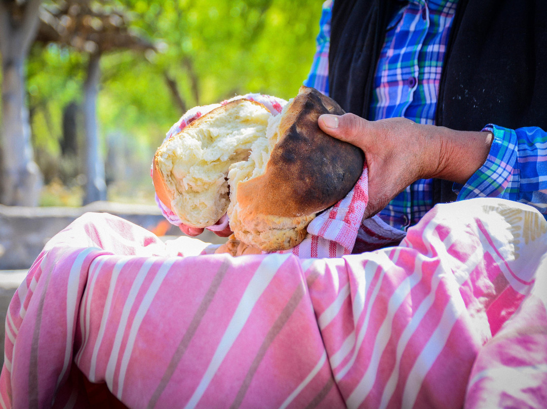 Experiencia Camprestre-San Carlos必去景点