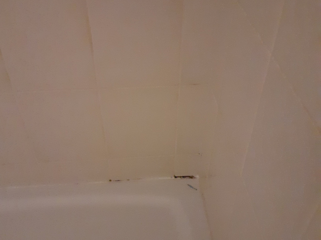 Hotel Badehof主图