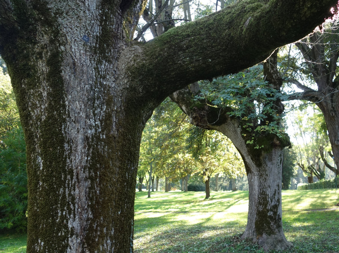 Kurpark Bad Gleichenberg-泉格莱兴山必去景点