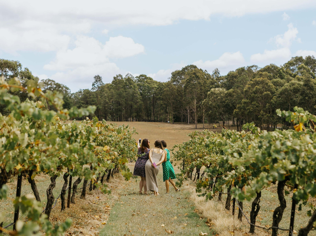iHop Hunter Valley-波高尔宾必去景点