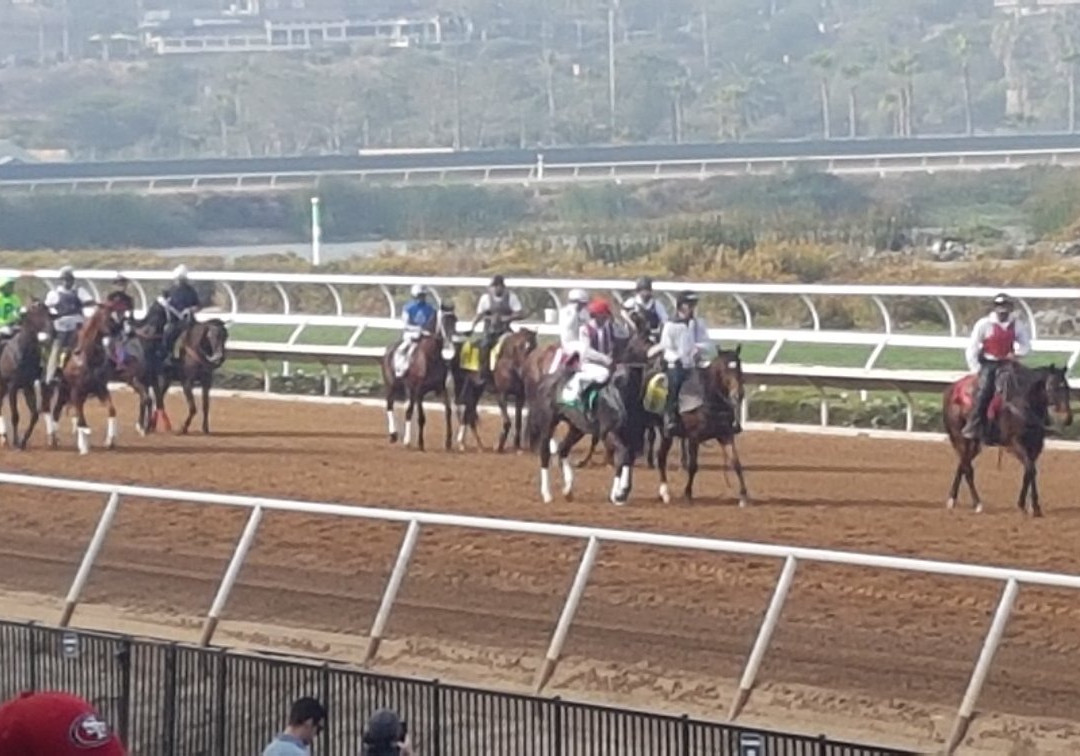 Del Mar Racing-德尔马必去景点