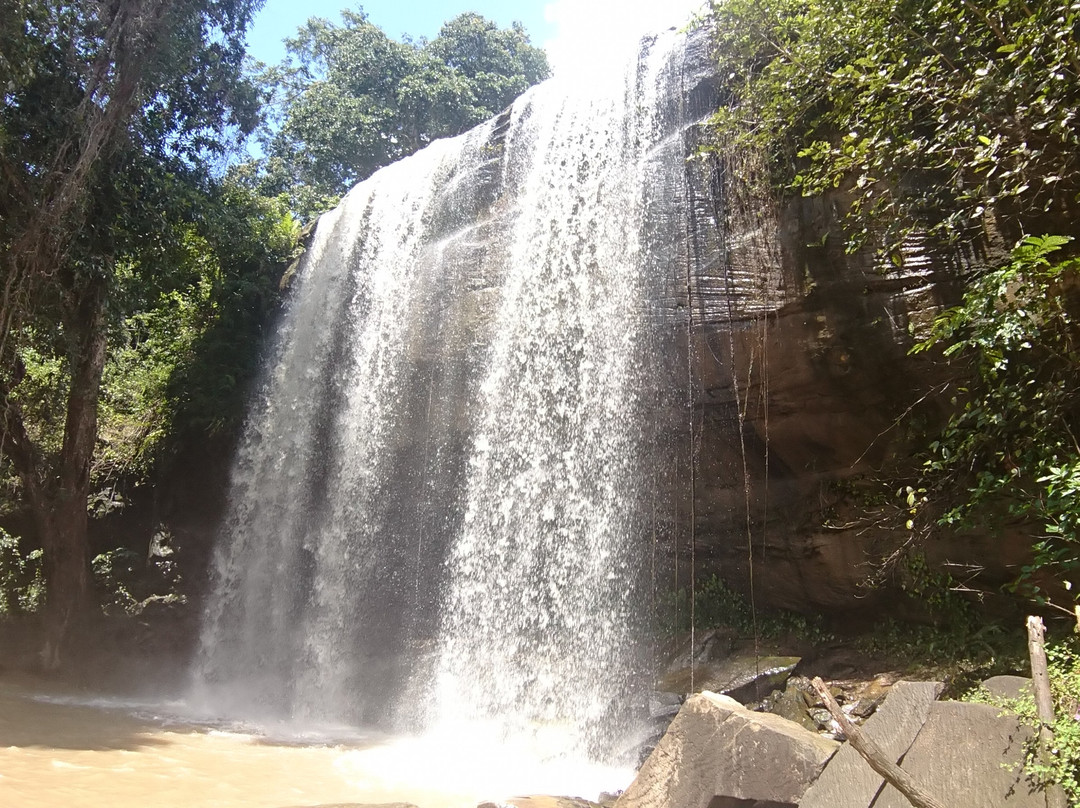 Sheldrick Falls-Kwale必去景点