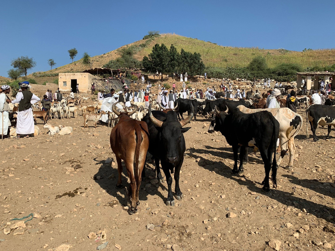 Livestock Market-Hargeysa必去景点