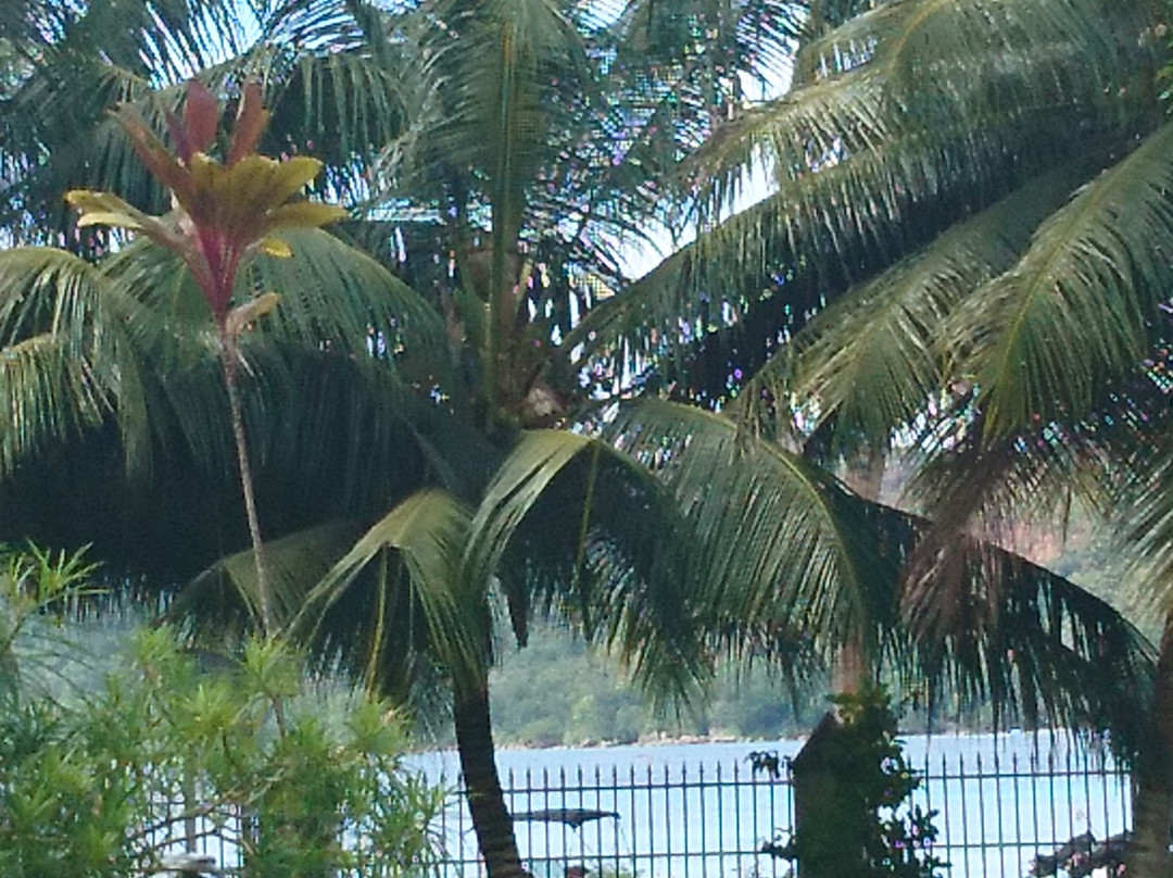 Hide Away Holiday Apartments主图