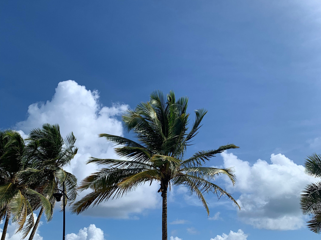 Luquillo Sunrise Beach Inn主图