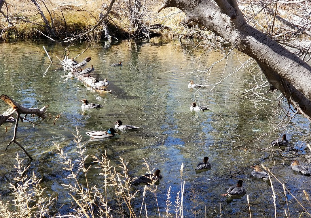 泰勒河游客中心-南太浩湖必去景点