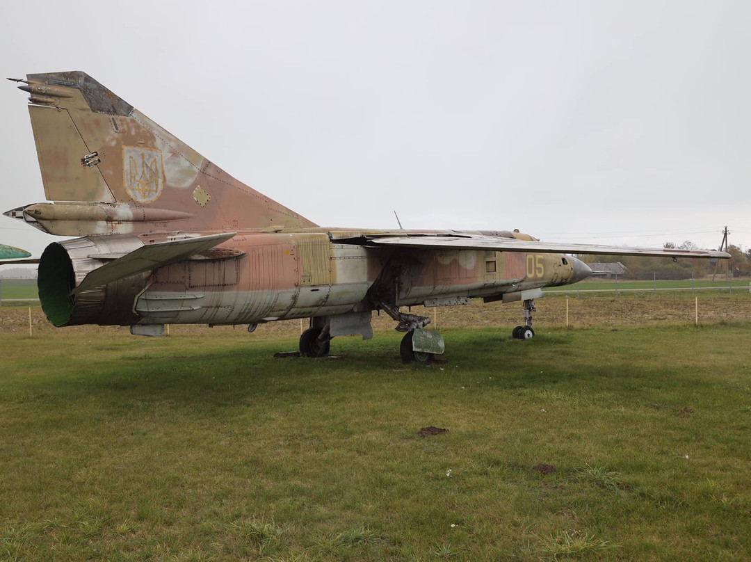 Įstros Aviacijos Muziejus - Airplane Museum景点图片