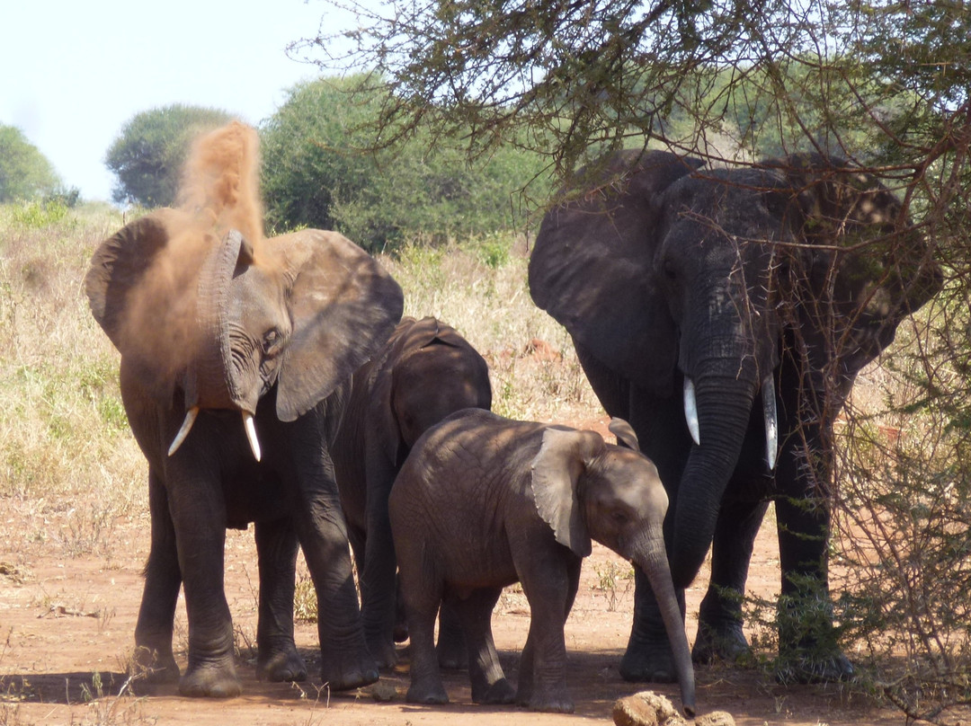 The Infinite Horizon-阿鲁沙必去景点
