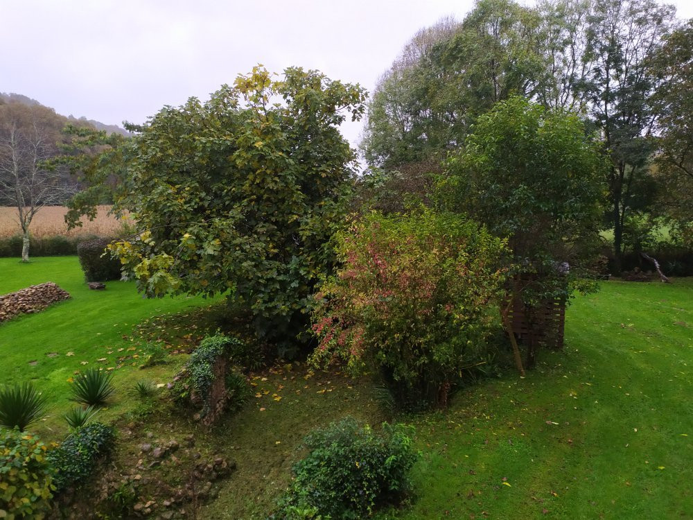 B&B Au Moulin 1771主图